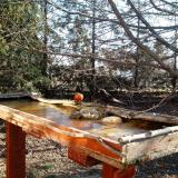 photo 2022-03-14 08-18-10