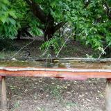 photo 2021-05-24 13-16-07