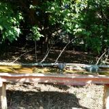 photo 2021-09-13 10-02-36