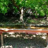 photo 2021-05-10 12-06-02