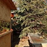 photo 2022-01-12 13-17-25