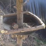 photo 2019-03-04 11-53-16