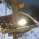 photo 2019-01-27 10-12-37