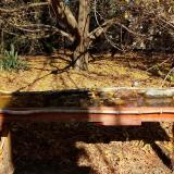 photo 2021-10-24 11-59-21