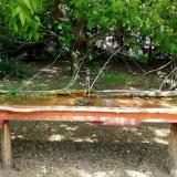 photo 2021-05-05 12-21-57