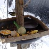 photo 2019-01-22 15-32-10