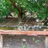 photo 2021-08-06 15-59-10