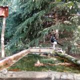 photo 2023-10-01 11-01-32