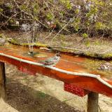 photo 2021-04-06 12-49-59