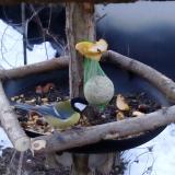 photo 2019-01-15 07-29-08