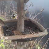 photo 2019-12-25 11-11-18