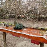 photo 2021-03-25 09-15-32