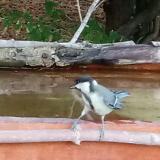 photo 2021-07-13 19-08-40cinke