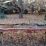 photo 2021-10-25 08-02-47