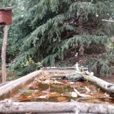 photo 2023-10-20 09-16-45