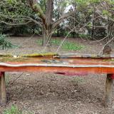 photo 2021-04-11 14-55-52