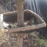 photo 2019-02-22 10-30-06