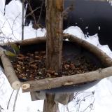 photo 2019-01-08 10-11-23