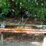 photo 2021-09-24 15-24-40