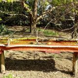 photo 2021-04-12 09-49-31