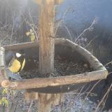 photo 2019-12-30 11-49-35