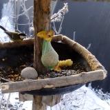 photo 2019-01-21 08-31-14