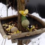 photo 2019-01-12 12-26-27