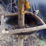 photo 2019-02-08 13-15-54