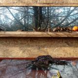 photo 2022-01-22 11-47-02