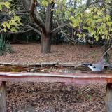 photo 2021-10-19 16-54-30