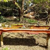 photo 2021-04-12 09-52-59