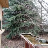 photo 2021-12-12 11-09-00