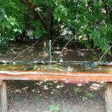 photo 2021-08-04 13-48-49