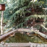 photo 2023-10-11 15-44-49 3