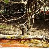 photo 2021-04-12 09-49-20 poszata