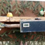 photo 2021-02-01 12-08-57