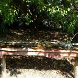 photo 2021-10-02 11-48-17