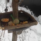 photo 2019-01-23 08-24-19