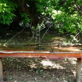 photo 2021-05-15 10-59-45