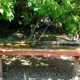 photo 2021-05-11 11-28-58