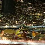 photo 2021-10-02 12-40-03 trio