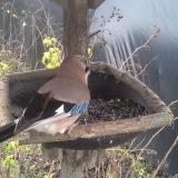 photo 2019-12-22 11-42-42