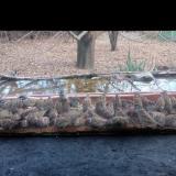 photo 2021-11-30 14-18-28