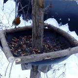 photo 2019-01-08 08-06-56