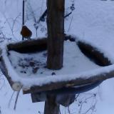 photo 2019-01-08 15-52-12