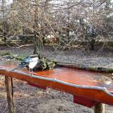 photo 2021-03-20 07-19-14