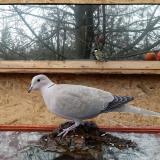 photo 2022-01-20 12-59-00