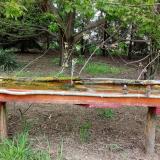 photo 2021-04-28 10-24-50