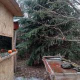 photo 2021-12-27 13-21-33