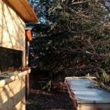 photo 2022-01-14 08-45-17